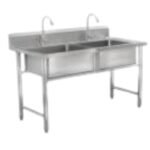 Double Sink (Standard Model)